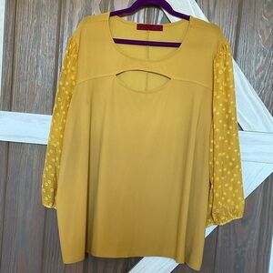 COPY - Gold top w/peek a boo neck, sheer sleeves.SIZE 3X. P2P 28, length 26.5
